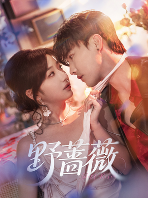 《野蔷薇》（60集）短剧免费看全程无广告