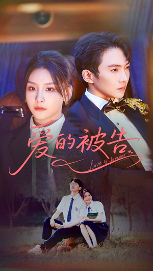 《爱的被告》（70集）短剧精彩剧情一追到底