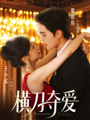 《横刀夺爱》（82集）热门短剧全集免费观看