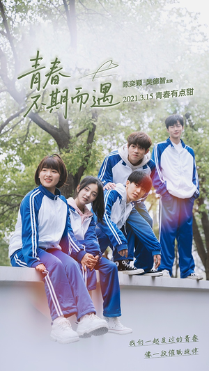 《青春不期而遇》（50集）畅享短剧完整剧情追