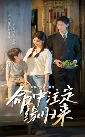 《命中注定缘归来》（63集）在线短剧免费追至大结局