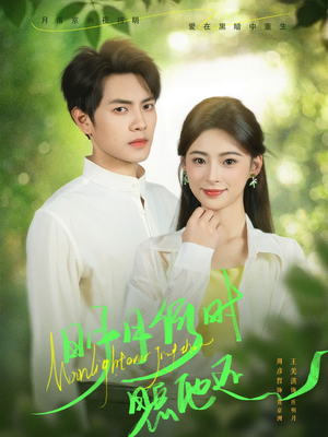 《明月何时照他还》（73集）热门短剧全集免费在线看