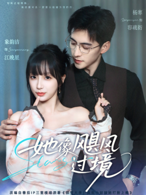 《她像飓风过境》（81集）短剧免费在线追全集