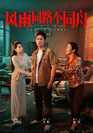 《风雨同居不同舟》（32集）热门短剧全集免费畅看