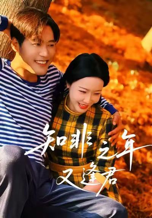 《知非之年又逢君》（62集）短剧全集免费畅快追看