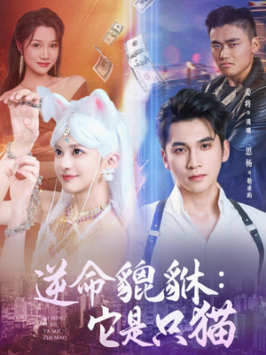 《逆命貔貅它是只猫》（35集）短剧全集免费在线嗨看