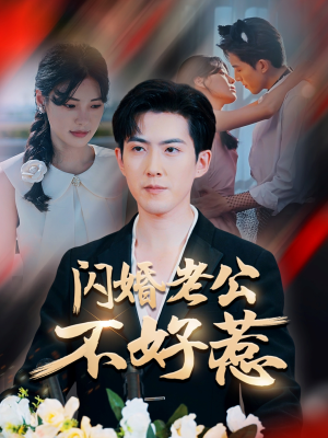 《闪婚老公不好惹》（73集）在线看短剧超带感