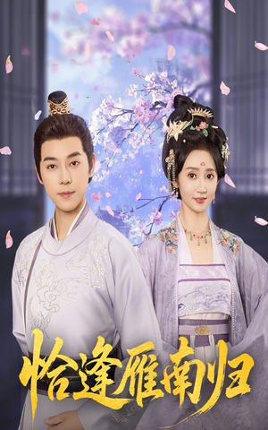 《恰逢雁南归》（51集）短剧免费畅看全集