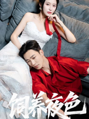 《饲养夜色》（86集）热门短剧一集不落畅看