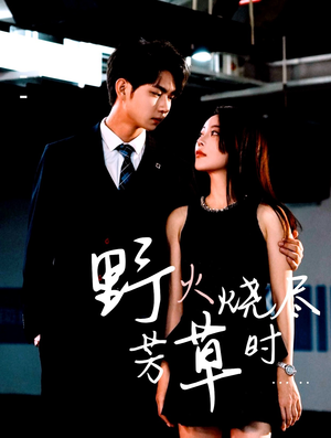 《野火烧尽芳草时》（65集）在线短剧免费看精彩不断