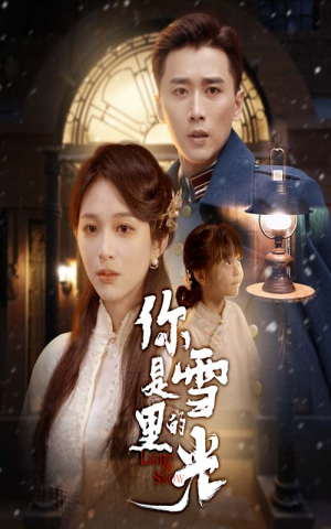 你是雪里的光(64集) 你是雪里的光(64集)真的好看吗