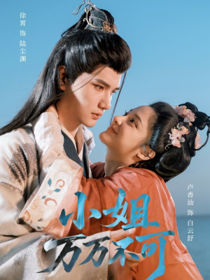 《小姐万万不可》（74集）全集短剧免费在线看