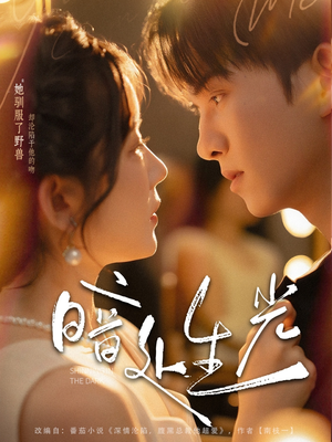 《暗处生光》（82集）短剧全集免费在线观