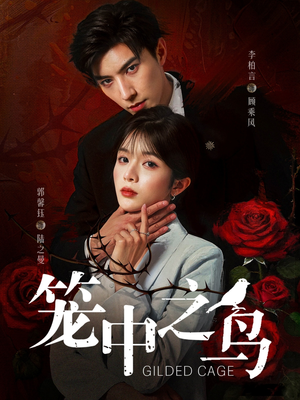 《笼中之鸟》（70集）在线短剧追不停超好看