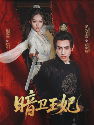 《暗卫王妃》（60集）精彩短剧免费全集在线赏