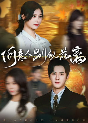 《何意人别似花离》（61集）免费短剧畅享全集看