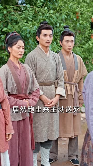 《寒门武状元》（80集）短剧全集免费看超嗨