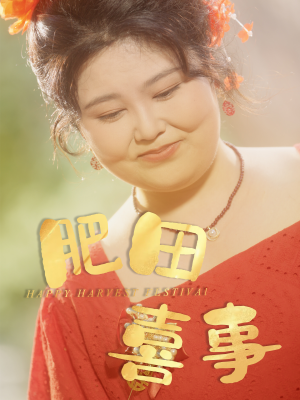 肥田喜事(33集) 肥田喜事(33集)大结局完美收官