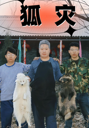 《狐灾》（25集）在线短剧全集免费观览