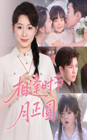 《相逢时节月正圆》（54集）在线短剧全集免费观全剧