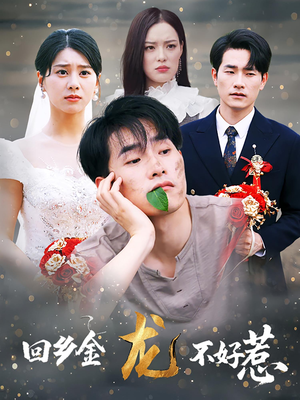 《回乡金龙不好惹》（74集）在线追短剧精彩不停