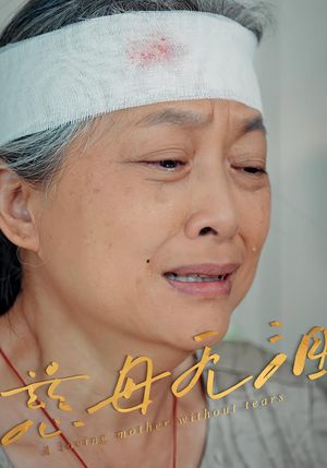 慈母无泪(30集) 慈母无泪(30集)一口气看完