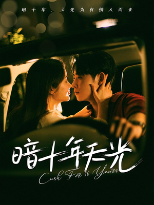 《暗十年天光》（81集）免费看短剧全集过瘾