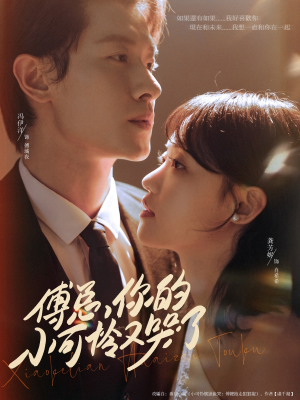 《傅总你的小可怜又哭了》（80集）看短剧爆款剧情不停歇