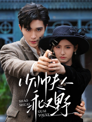 《少帅夫人乖又野》（84集）畅享短剧全集在线