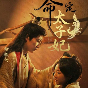 《命定太子妃》（63集）免费短剧连播随心看