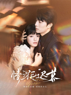 《情深已迟暮》（50集）在线免费短剧完整追