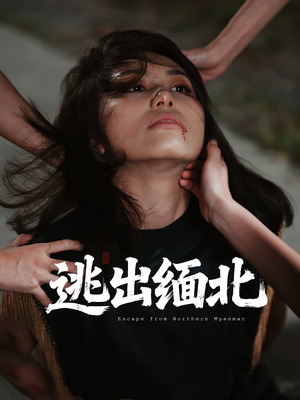 《逃出缅北》（62集）精彩短剧在线一追到底