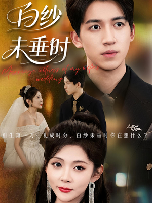 《老婆婚礼我当证婚人》（54集）畅享短剧免费全集观