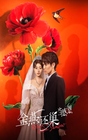 《金燕还巢当感恩》（55集）在线看短剧全集畅享