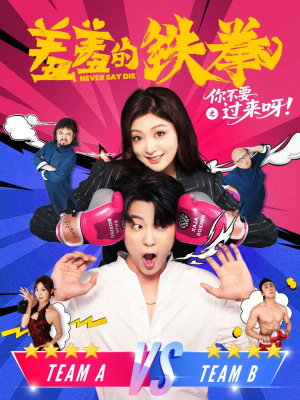 《羞羞的铁拳之你不要过来呀》（60集）短剧免费看全集乐翻天