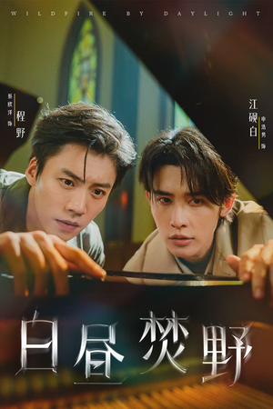 《白昼焚野》（70集）精彩短剧全集免费追