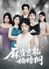 《麻雀岂能栖梧桐》（31集）热门短剧在线免费追看