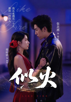 《似火》（80集）看短剧全集精彩不停转