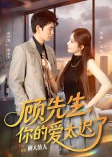 顾先生你的爱太迟了(60集) 顾先生你的爱太迟了(60集)解说文案