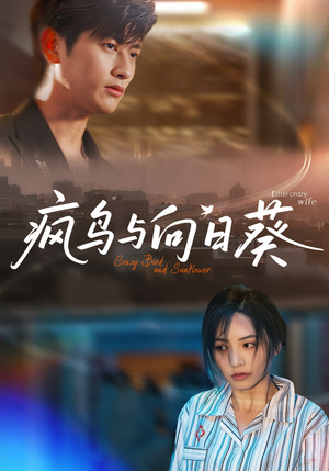 《疯鸟与向日葵》（40集）短剧精彩在线全追完