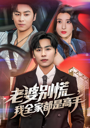 《婆别慌我全家都是高手》（58集）畅享短剧全集在线看