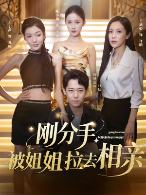 《刚分手被姐姐拉去相亲》（73集）热门短剧在线一看到底