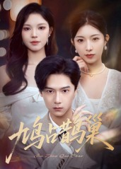 《鸠占鹊巢&顶流夫人的致命陷阱》（70集）短剧免费追剧嗨不停