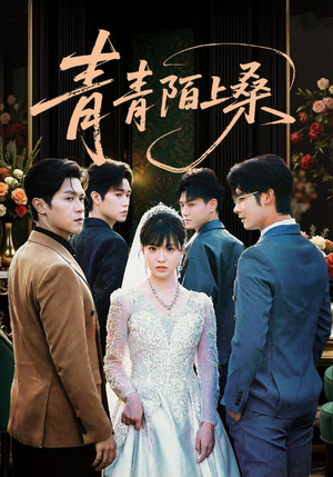 青青陌上桑(70集) 青青陌上桑(70集)火爆短剧热播中