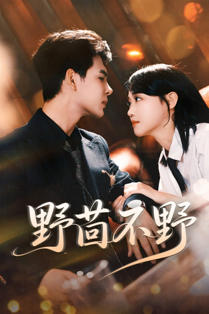 野茴不野(67集) 野茴不野(67集)精彩的网络短剧