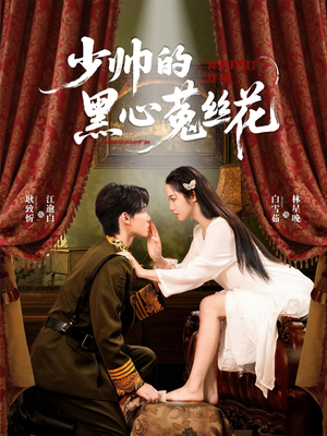 《少帅的黑心菟丝花》（60集）精彩短剧一口气追完