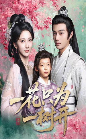 《一花只为一树开》（54集）在线短剧精彩一追到底