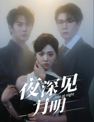 《夜深见月明》（50集）看短剧全集畅享不停歇