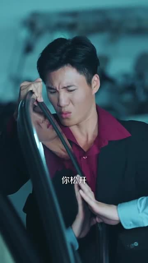 《无敌贾二虎&贾二虎的妖孽人生》（80集）短剧免费看个够