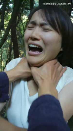 《消失的她与我那些事儿&孤岛爱之狂野迷踪》（46集）热门短剧免费畅看全集